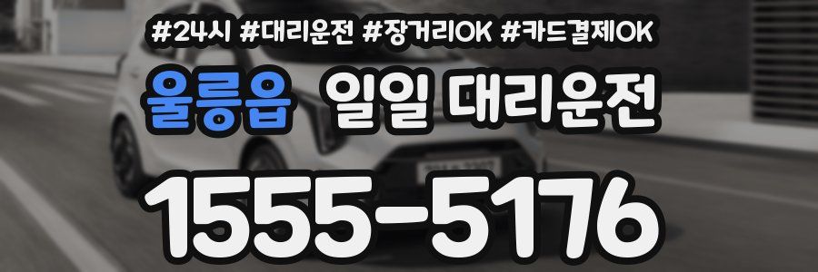 울릉읍 일일 대리운전