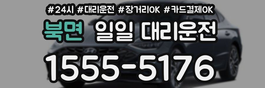 북면 일일 대리운전