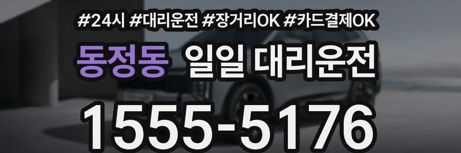 동정동 일일 대리운전