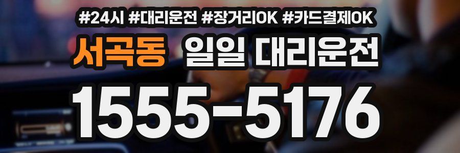 서곡동 일일 대리운전