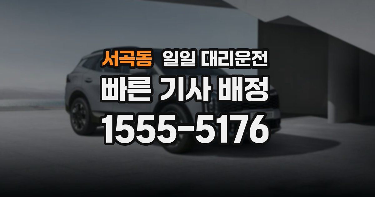 서곡동 일일 대리운전