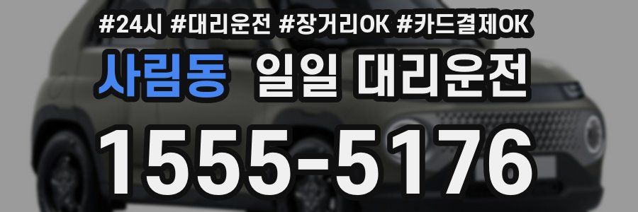사림동 일일 대리운전