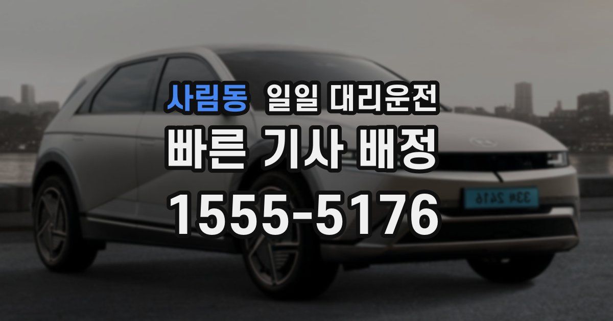 사림동 일일 대리운전