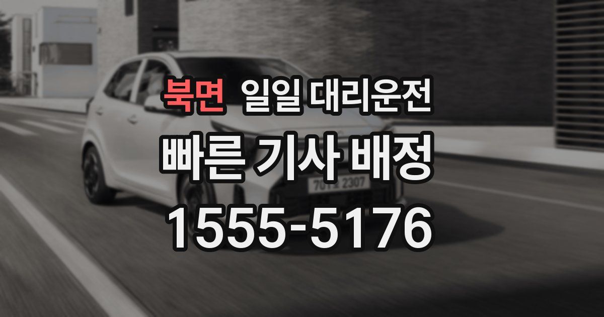 북면 일일 대리운전