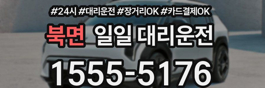 북면 일일 대리운전