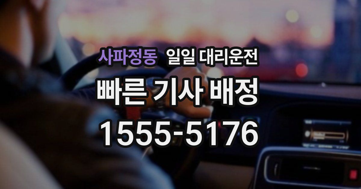 사파정동 일일 대리운전