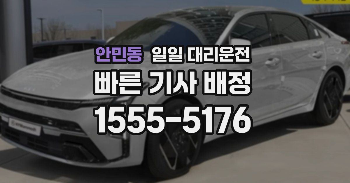 안민동 일일 대리운전