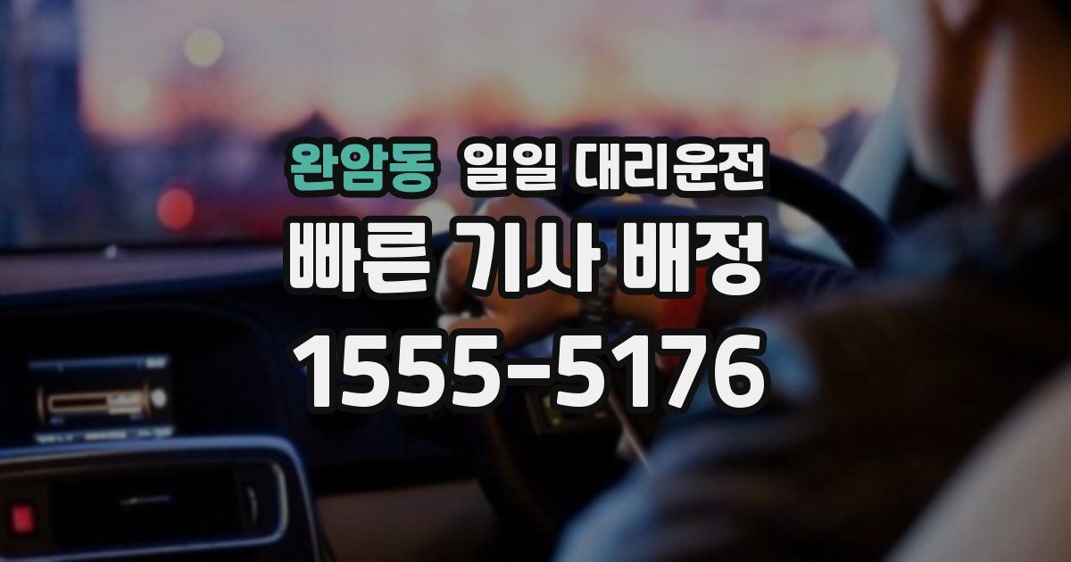 완암동 일일 대리운전