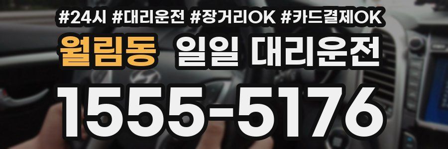 월림동 일일 대리운전