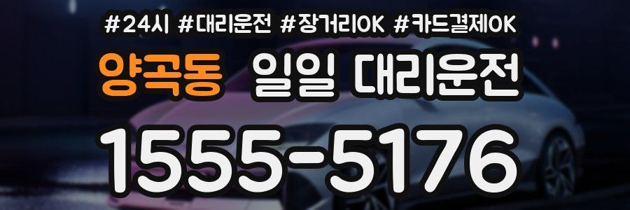 양곡동 일일 대리운전