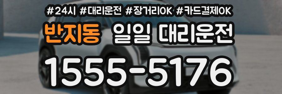 반지동 일일 대리운전