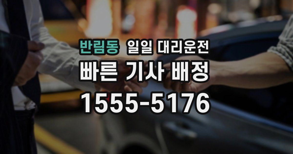 반림동 일일 대리운전