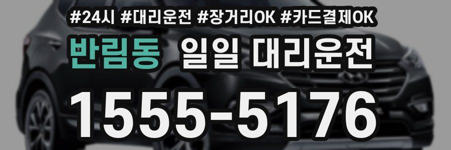 반림동 일일 대리운전