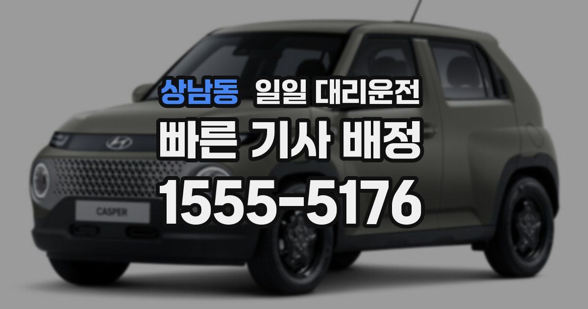 상남동 일일 대리운전