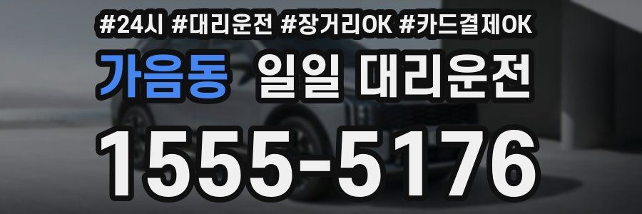 가음동 일일 대리운전