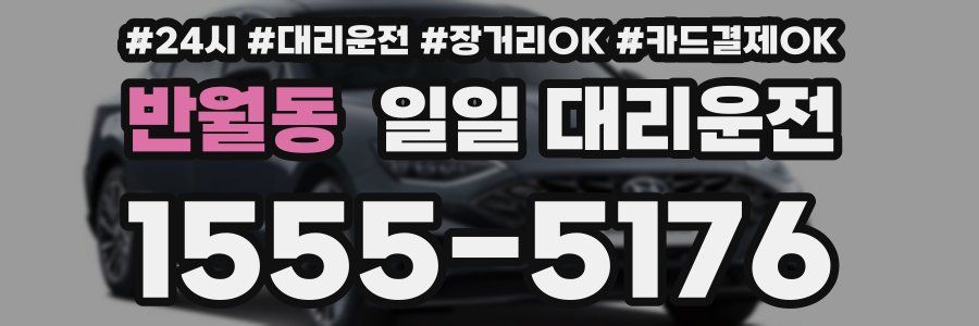 반월동 일일 대리운전