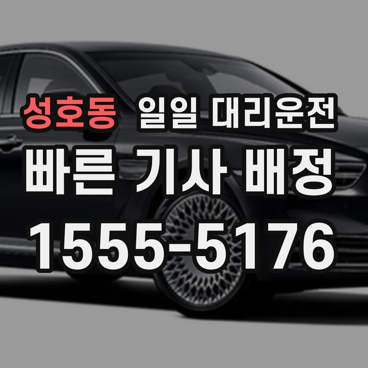 성호동 일일 대리운전