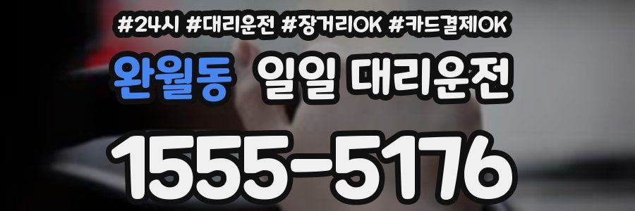 완월동 일일 대리운전