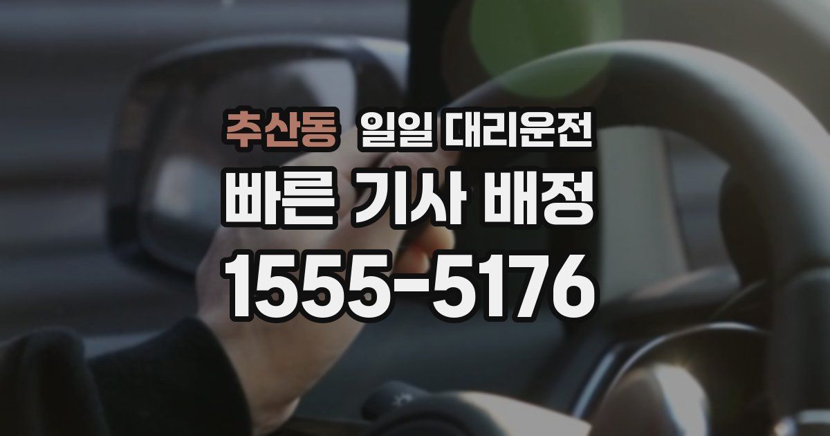 추산동 일일 대리운전