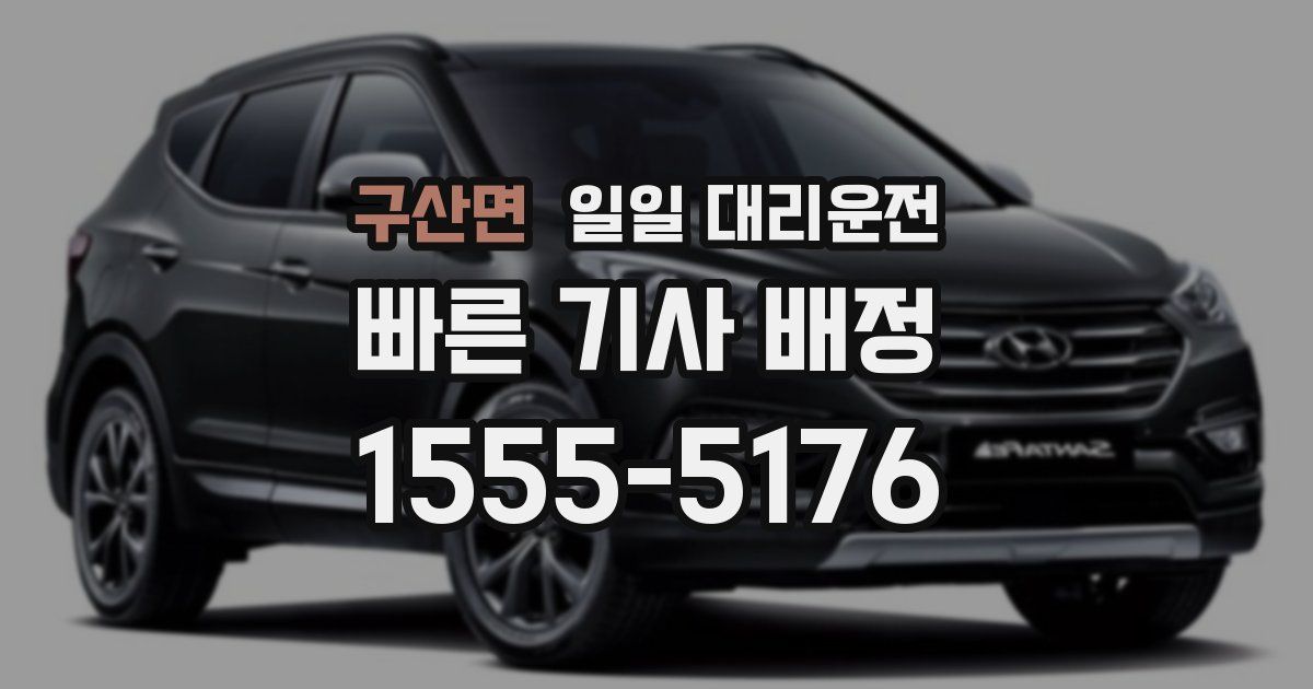 구산면 일일 대리운전
