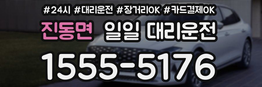 진동면 일일 대리운전