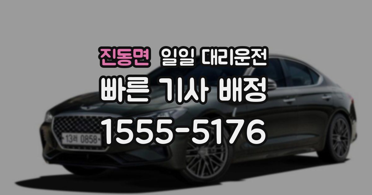 진동면 일일 대리운전