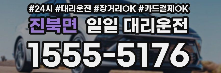 진북면 일일 대리운전