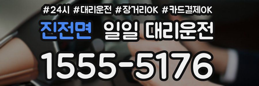 진전면 일일 대리운전