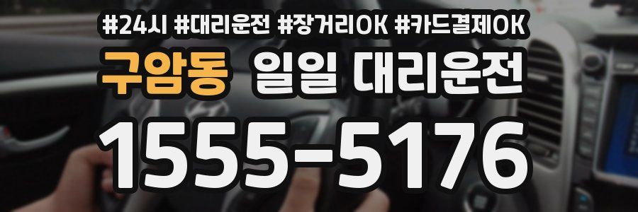 구암동 일일 대리운전