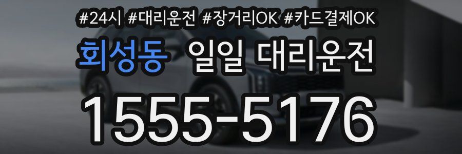 회성동 일일 대리운전