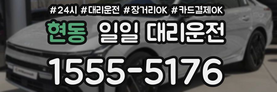 현동 일일 대리운전