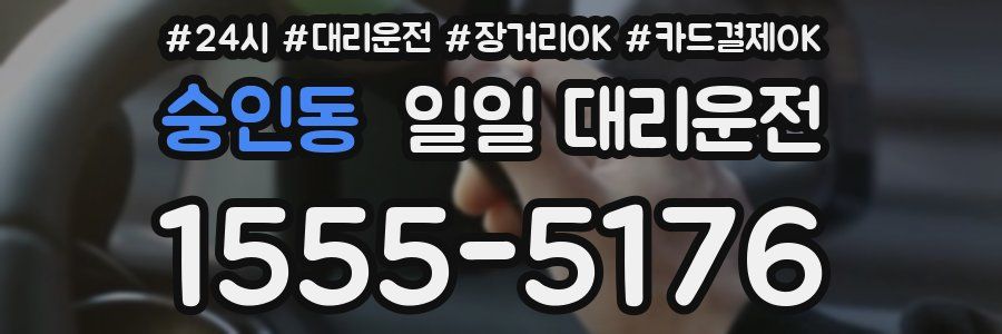 숭인동 일일 대리운전