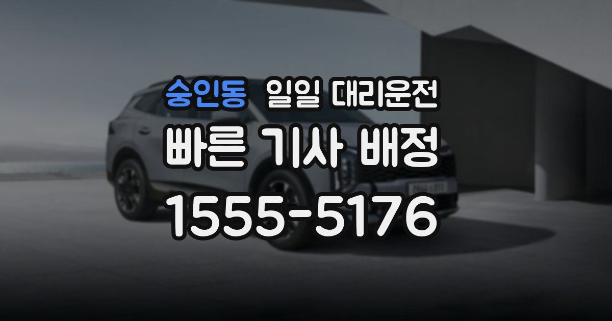 숭인동 일일 대리운전