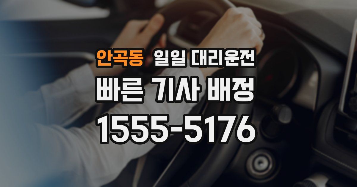 안곡동 일일 대리운전