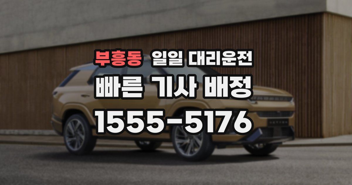 부흥동 일일 대리운전