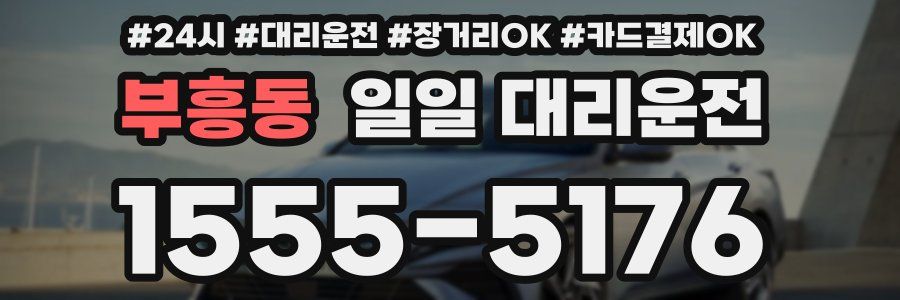 부흥동 일일 대리운전