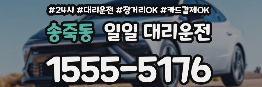 송죽동 일일 대리운전