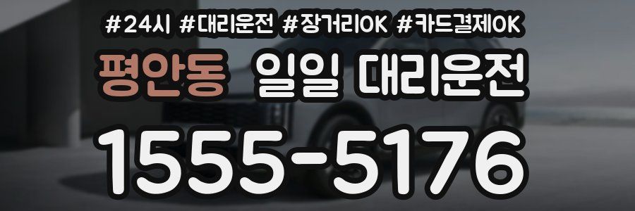 평안동 일일 대리운전
