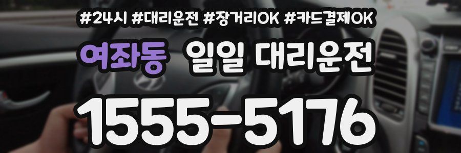 여좌동 일일 대리운전