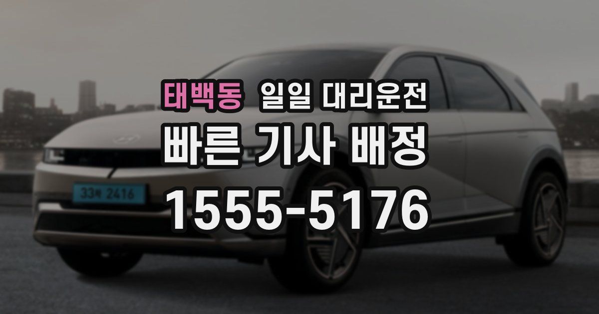 태백동 일일 대리운전
