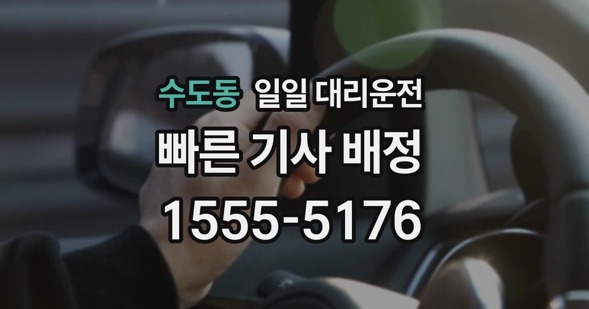 수도동 일일 대리운전
