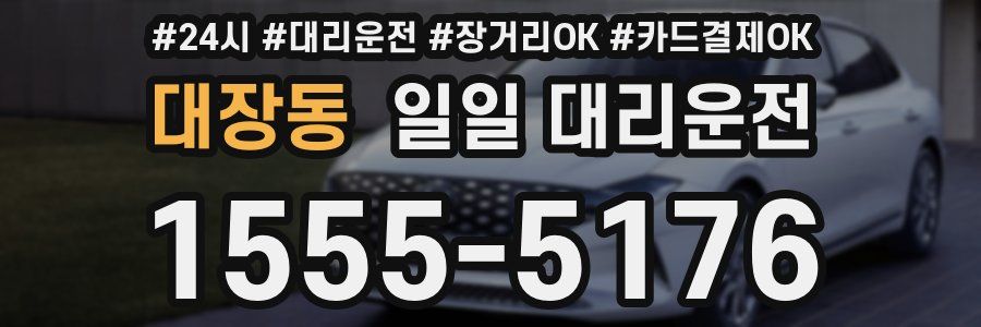 대장동 일일 대리운전