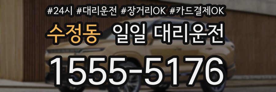 수정동 일일 대리운전