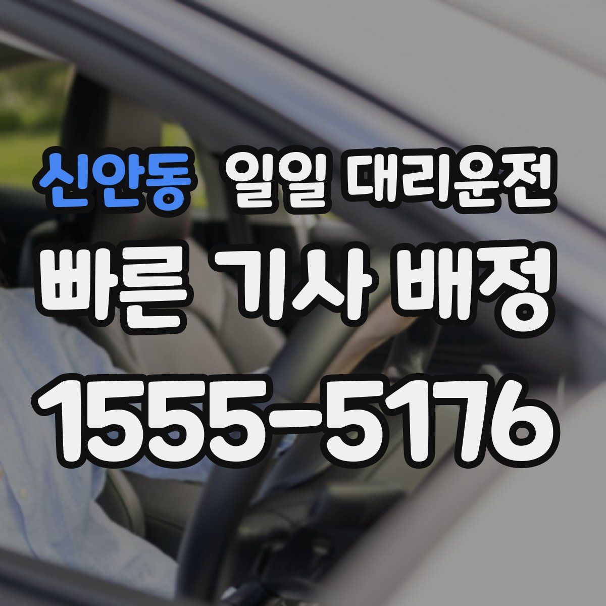 신안동 일일 대리운전