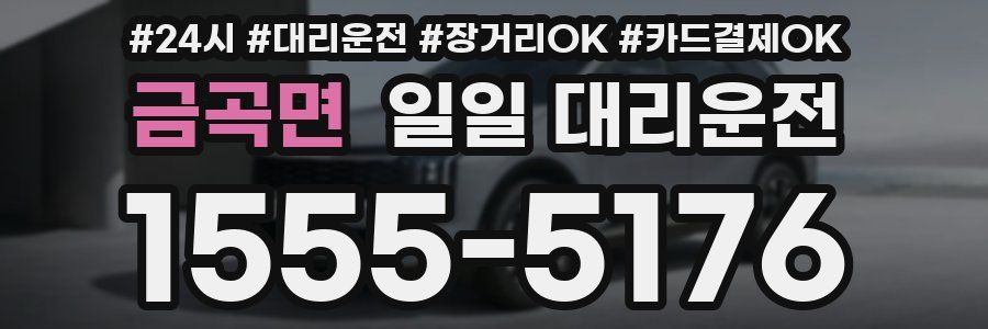 금곡면 일일 대리운전