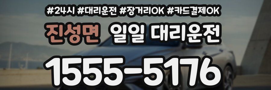 진성면 일일 대리운전