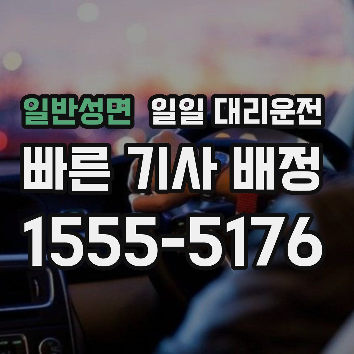 일반성면 일일 대리운전