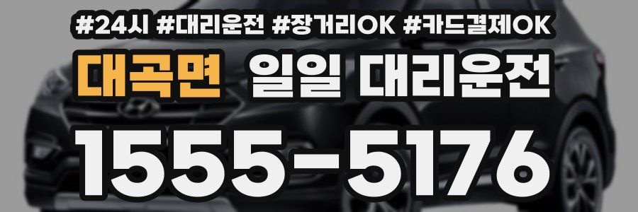 대곡면 일일 대리운전