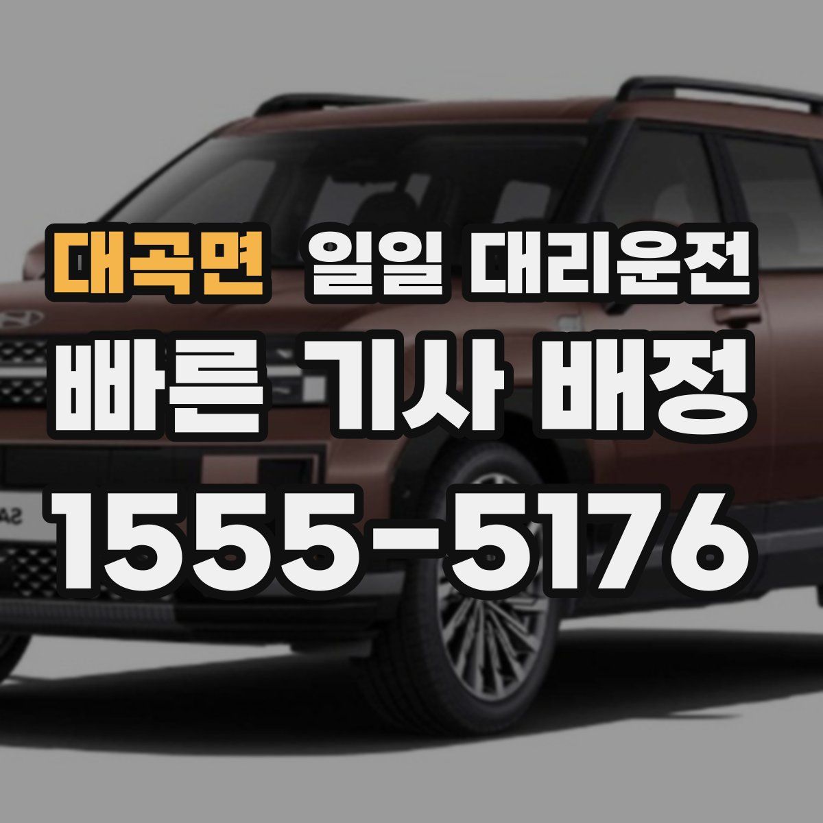 대곡면 일일 대리운전