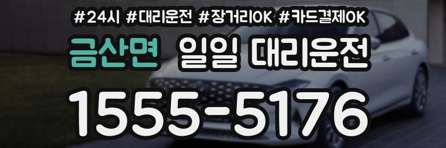 금산면 일일 대리운전